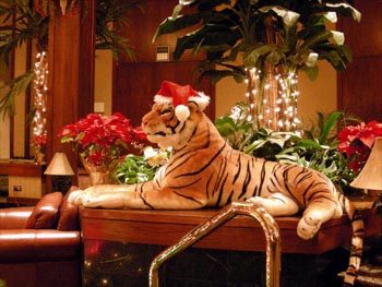 Stuffed tiger