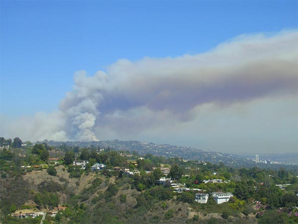 Griffith Park burns. Los Angeles, CA