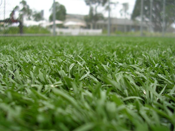Turf. Santa Monica, CA