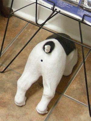 Half a dog