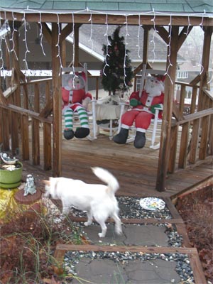 Visiting the Claus'