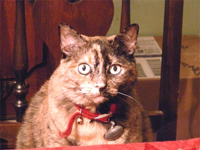 Sadie says: I am ready to eat.