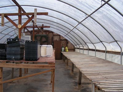 Inside the small plant greenhouse