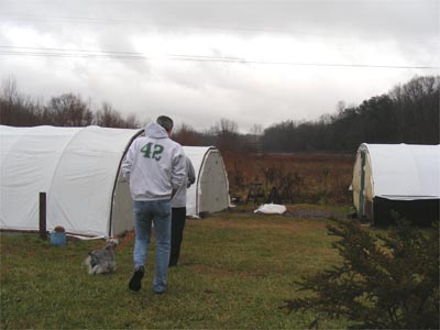 Greenhouses for plants in later stages of growth