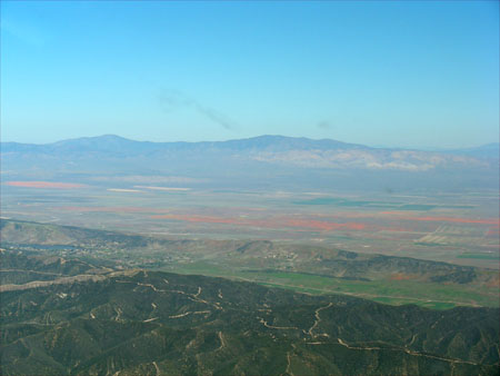 Poppies in the Antelope Valley