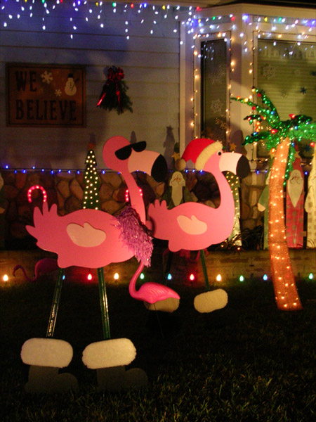 Candy Cane Lane: Chilly flamingoes