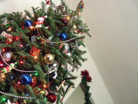 Festive