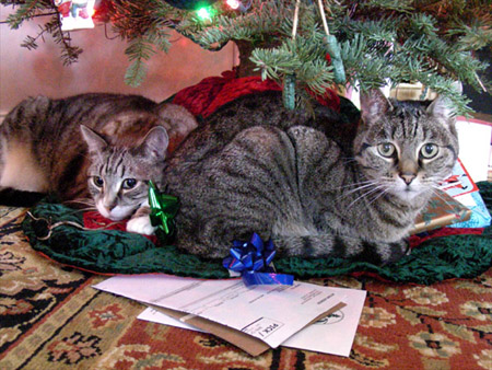 Are there any more presents for us?