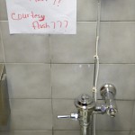 Please flush?? -- Courtesy flush???