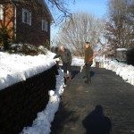 At least the driveway is clear At least the driveway is clear