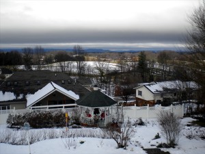 View from the back deck