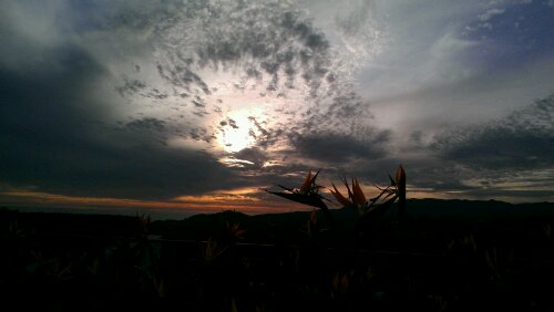 IMAG0002.jpg image