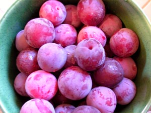 A bowl full of plums