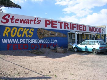 Stewarts Petrified Wood