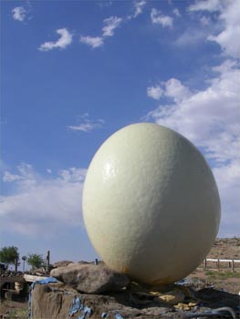 Ostrich egg