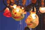 cat lights