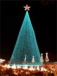 blue Christmas tree