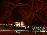 Yuletide Graceland