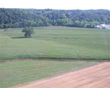 Corn fields