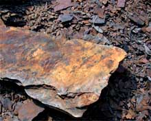 Shale